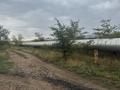 Участок · 5 соток, Барбарисова 138 — Сосновый бор четвертый массив за 12 млн ₸ в Павлодаре — фото 21