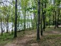 2-бөлмелі пәтер · 67 м² · 4/12 қабат, Майлина, бағасы: 38.5 млн ₸ в Алматы, Турксибский р-н — фото 11