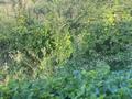 Отдельный дом · 3 комнаты · 80 м² · 7.7 сот., Кожевник 2 — Кардиологический центр за 3.5 млн ₸ в Уральске — фото 4