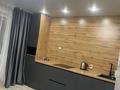 1-бөлмелі пәтер · 30 м² · 3/9 қабат, Уральская 45А, бағасы: 14 990 ₸ в Костанае — фото 3