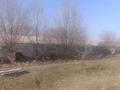 Қоймалар, ауыл шаруашылығы · 850 м², бағасы: 580 000 ₸ в Жалкамысе