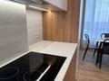 3-комнатная квартира · 150 м² · 13 этаж, Сарайшык 34а за 1.2 млн ₸ в Астане, Есильский р-н — фото 20