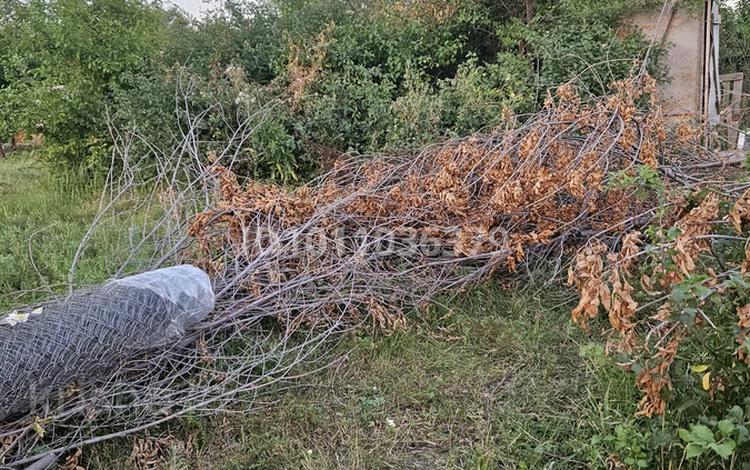 Жер телімі · 8 сотық, мкр Омега, Лесовод 9 — Алаугаз , пмк остановка, бағасы: 3 млн ₸ в Уральске — фото 2