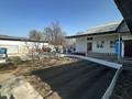 Отдельный дом · 7 комнат · 250 м² · 8.5 сот., Жібек Жолы за 65 млн ₸ в Шамалгане — фото 4