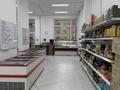Готовый бизнес с помещением «магазин рыбы и морепродуктов» · 95.5 м² за 80 млн ₸ в Астане, Нура р-н — фото 5