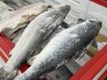 Готовый бизнес с помещением «магазин рыбы и морепродуктов» · 95.5 м² за 80 млн ₸ в Астане, Нура р-н — фото 11