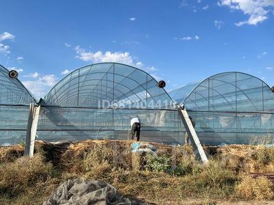 Сельское хозяйство • 100000 м² за 100 млн 〒 в Касымбек датка