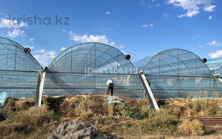 Сельское хозяйство · 100000 м² за 50 млн ₸ в Касымбек датка — фото 2