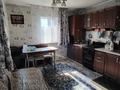 Отдельный дом · 4 комнаты · 76.8 м² · 37 сот., Тауелсиздык 2 за 20 млн ₸ в Новоишимке — фото 9