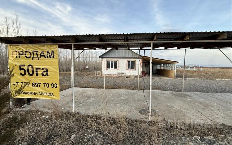 Жер телімі · 50 га, Шелек, бағасы: 25 млн ₸ — фото 9