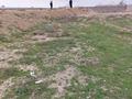 Жер телімі 15 сотық, Калдаяков, бағасы: 5.5 млн 〒 в Туркестане — фото 11