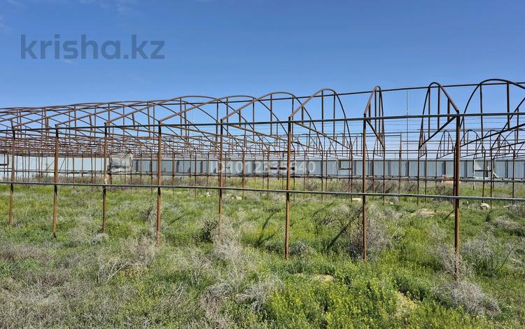 Теплицу · 1000 м², бағасы: 5 млн ₸ в Атырау, мкр Зарослый — фото 2