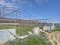 Теплицу · 1000 м², бағасы: 5 млн ₸ в Атырау, мкр Зарослый — фото 4