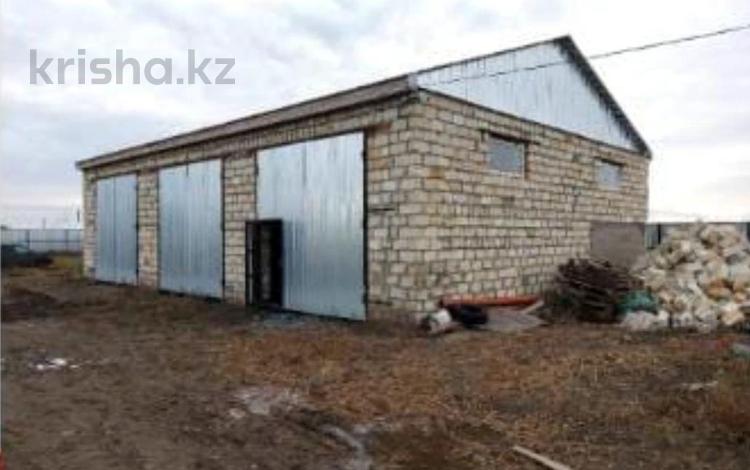 Готовое Крестьянское хозяйство · 5400 м², бағасы: 180 млн 〒 в Александровка — фото 11