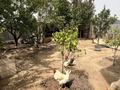 Отдельный дом · 5 комнат · 215 м² · 9 сот., Құрылысшы 33 — Ниже ул. Момышулы за 82 млн ₸ в  — фото 25