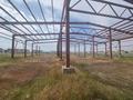 Участок · 80 соток, Ынтымак за 85 млн ₸ в Талдыкоргане, село Ынтымак — фото 6