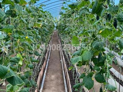 Жер телімі · 6.6 га, Көкқайнар, бағасы: 70 млн ₸ в 