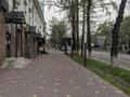 Еркін, кеңселер, дүкендер мен бутиктер, қоғамдық тамақтану орны, сұлулық салондары, медорталықтар мен дәріханалар, кабинеттер және жұмыс орындары, студиялар · 116.7 м², бағасы: ~ 3.8 млн ₸ в Алматы, Алмалинский р-н — фото 2