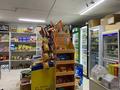 Магазины и бутики • 1 м² за 8.5 млн 〒 в Актау, 13-й мкр — фото 3