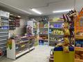 Магазины и бутики • 1 м² за 8.5 млн 〒 в Актау, 13-й мкр — фото 4