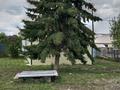 Жер телімі · 18 сотық, Ертис 13, бағасы: 5 млн ₸ в Новой бухтарме — фото 4