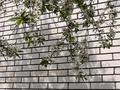 Жеке үй · 3 бөлме · 95 м² · 10 жүзд., Гагарина, бағасы: 23 млн ₸ в Круглоозерном — фото 10