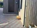 Отдельный дом · 4 комнаты · 92.2 м², Сибирская за 28 млн ₸ в Павлодаре — фото 8