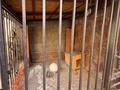 Жеке үй · 7 бөлме · 407 м² · 8 жүзд., Таугүл-3 ш/а., Адилова 7а, бағасы: 450 млн ₸ в Алматы, Ауэзовский р-н — фото 39