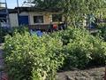 Жеке үй · 3 бөлме · 75 м² · 15 жүзд., Казахстанская 20 — Пос Ново-Азовое, бағасы: 5.5 млн ₸ в Таврическом — фото 23