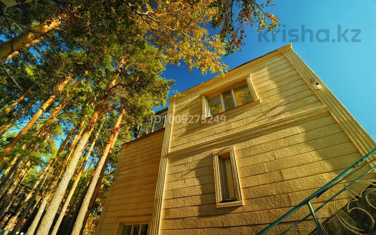 Дом · 5 комнат · 161 м², Северо-восточный берег озера Щучье, 2 — Northern Residence за 200 000 ₸ в Бурабае — фото 21