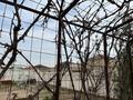 Отдельный дом · 3 комнаты · 100.5 м² · 6 сот., Айрақты 11/1 за 22 млн ₸ в  — фото 29