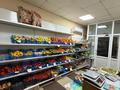 Действующий продуктовый магазин «Даулет» · 200 м², бағасы: 100 млн ₸ в Темиртау — фото 10