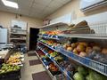 Действующий продуктовый магазин «Даулет» · 200 м², бағасы: 100 млн ₸ в Темиртау — фото 11