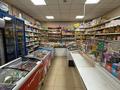 Действующий продуктовый магазин «Даулет» · 200 м², бағасы: 100 млн ₸ в Темиртау — фото 7