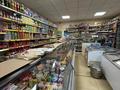 Действующий продуктовый магазин «Даулет» · 200 м², бағасы: 100 млн ₸ в Темиртау — фото 8