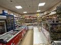Действующий продуктовый магазин «Даулет» · 200 м², бағасы: 100 млн ₸ в Темиртау — фото 9