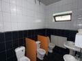 Отдельный дом · 5 комнат · 186.4 м² · 10 сот., Школьна 1д за 67 млн ₸ в  — фото 7