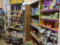 Магазины и бутики • 150 м² за 50 млн 〒 в Шымкенте, Туран р-н — фото 4