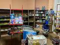 Магазины и бутики • 150 м² за 50 млн 〒 в Шымкенте, Туран р-н — фото 5