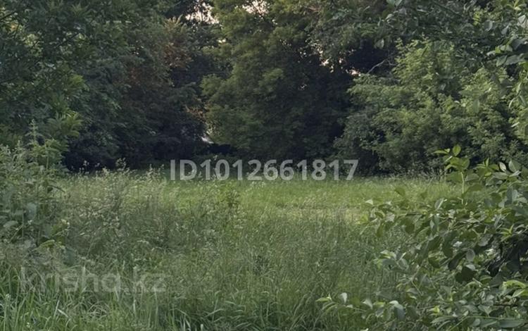 Участок · 10 соток, Самурук — Самурук за 10 млн 〒 в Есик — фото 2