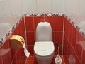 2-бөлмелі пәтер · 55 м² · 4/9 қабат, 5 микрорайон 38, бағасы: 20 млн ₸ в Аксае — фото 15
