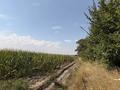 Участок · 200 соток, Алатауская трасса за 120 млн ₸ в Талгаре — фото 3