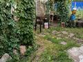 1-бөлмелі пәтер · 38 м² · 2/2 қабат, Жумабаева 4 — Жумабаева, бағасы: 18 000 ₸ в Бурабае — фото 7