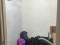 3-комнатная квартира · 60 м² · 2/5 этаж, Сураганова 20 — Сураганова Лермонтова за 20.5 млн 〒 в Павлодаре — фото 10