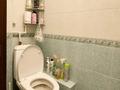 2-комнатная квартира · 57 м² · 4/5 этаж, Макатаева 81 — Панфилова за 55 млн ₸ в Алматы, Алмалинский р-н — фото 13