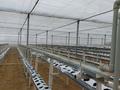 Ауыл шаруашылығы · 1000 м², бағасы: 25 млн ₸ в  — фото 16