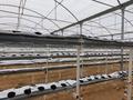 Ауыл шаруашылығы · 1000 м², бағасы: 25 млн ₸ в  — фото 17