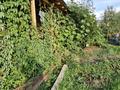 Жеке үй · 5 бөлме · 145 м² · 10 жүзд., Пер. Клубный, бағасы: 28.5 млн ₸ в Усть-Каменогорске — фото 57