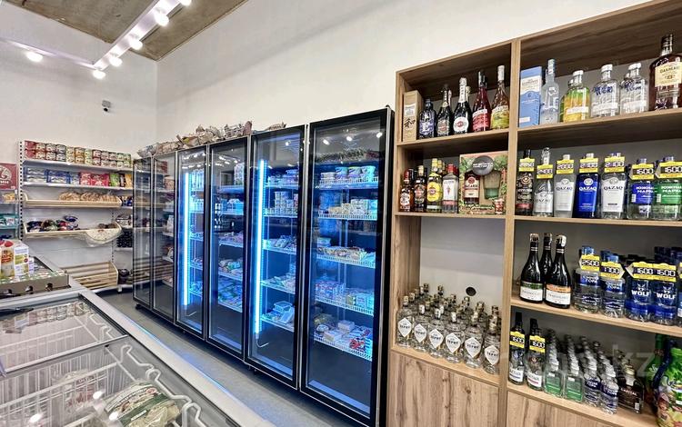 Свободное назначение, магазины и бутики, общепит · 110.7 м² за 1.2 млн 〒 в Астане, Есильский р-н — фото 7
