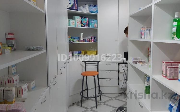 Еркін, медорталықтар мен дәріханалар · 55 м², бағасы: 28 млн ₸ в Переметном — фото 2